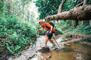 BIB: 
                            <button type="button" onclick="openModal(25376037)" class="btn btn-primary btn-sm float-right btn-popup" data-toggle="modal" data-target=".modal-high-quality">
                        <i class="fas fa-shopping-cart"></i> Add to Cart
                    </button>
                                            <button type="button" onclick="isThisMe(25376037, true)" class="btn btn-success btn-sm float-right btn-popup btn-isme hidden" data-toggle="tooltip" data-placement="bottom" title="นี่คือรูปของคุณใช่ไหม คลิกที่นี่เพื่อเอาเข้าอัลบั้ม">
                        <i class="fas fa-plus"></i> Add to album
                    </button>
                    <button type="button" onclick="isThisMe(25376037, false)" class="btn btn-warning btn-sm float-right btn-popup btn-isnotme hidden">
                        <i class="fas fa-ban"></i> Remove from album
                    </button>